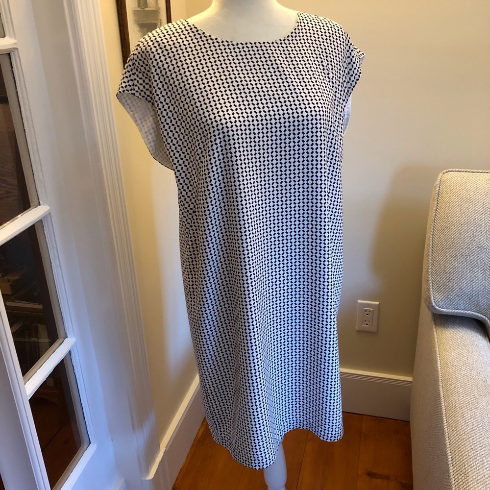 DAHLIA shift. Lined. Worn once. 6